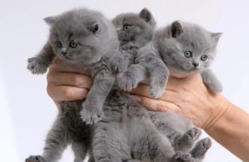 IMG_20220509_195907_45514611565