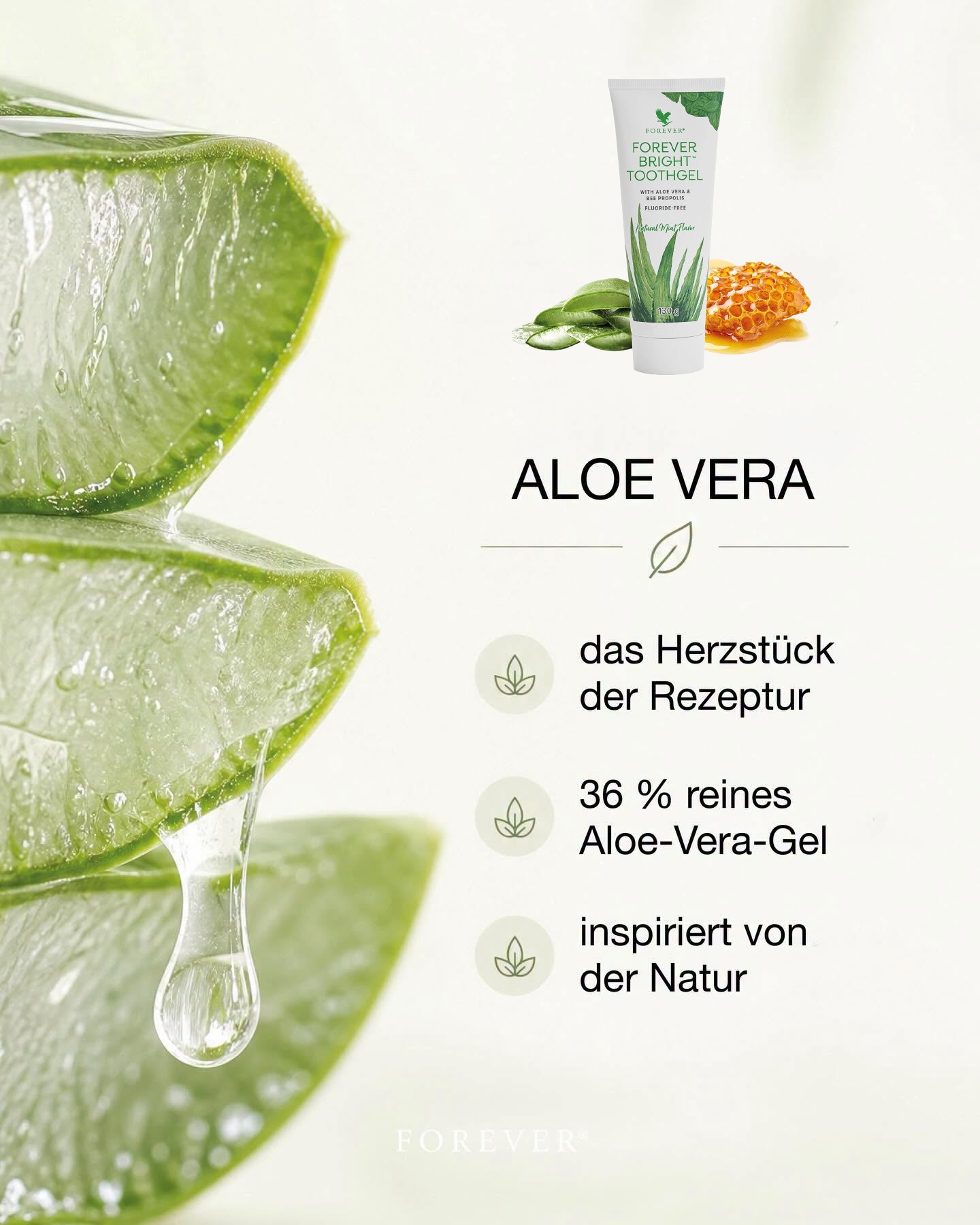 Entdecke die Kraft der Aloe Vera!