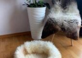 Haustierbetten 50 cm, 70 cm, Premium