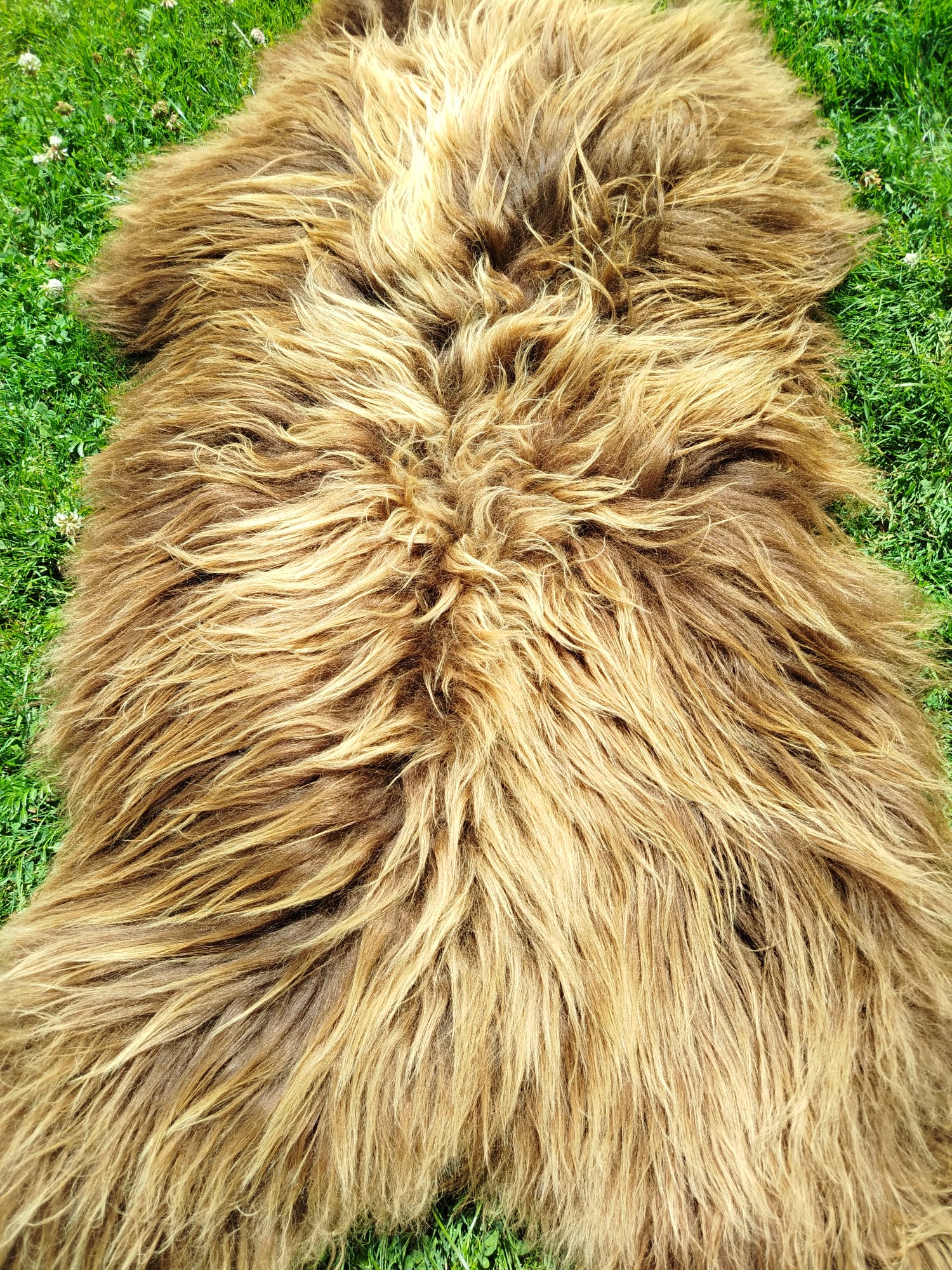 Flauschiges Schaffell Heidschnucke – Teppiche/Dekoration