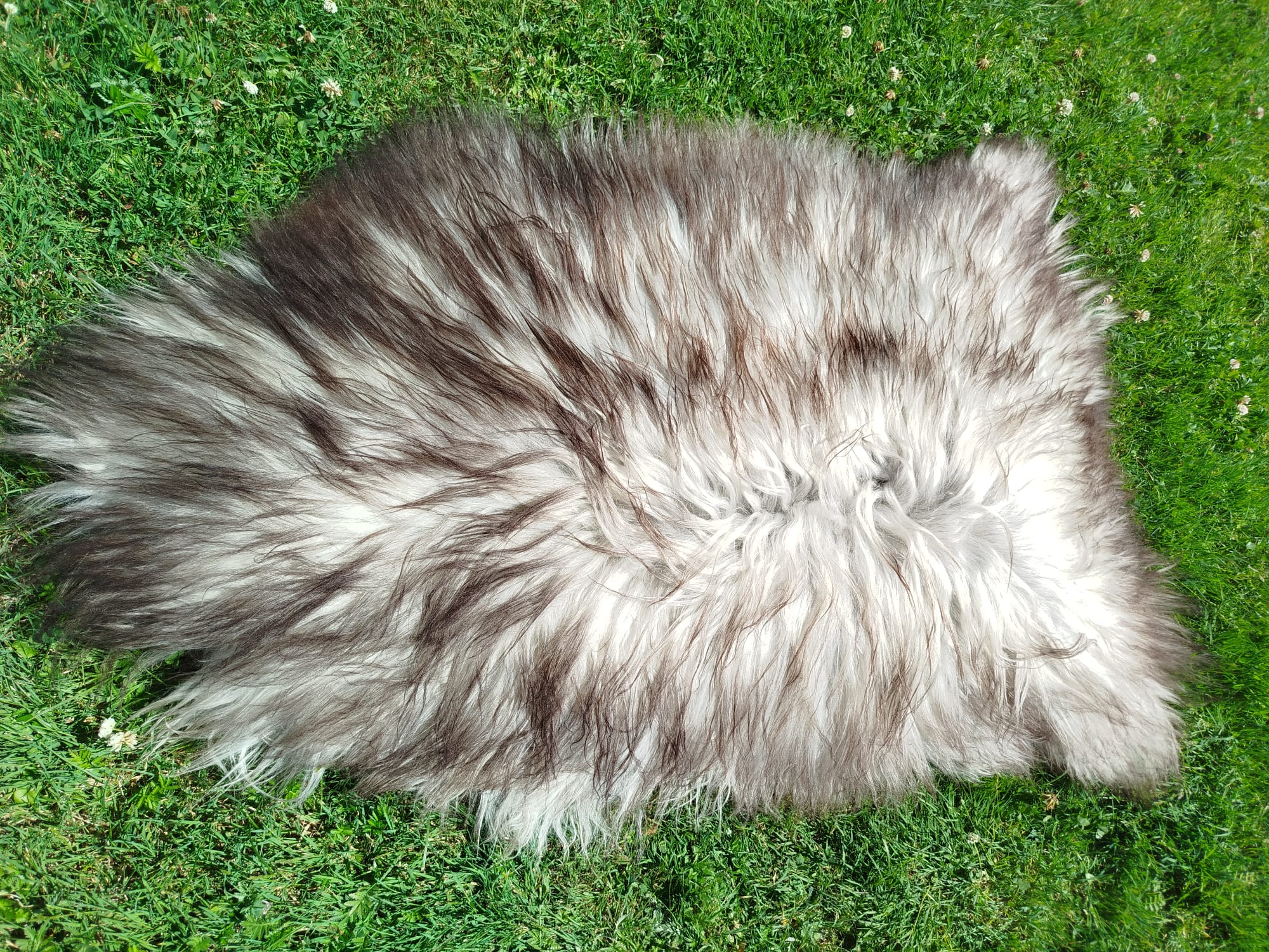 Flauschiges Schaffell Heidschnucke – Teppiche/Dekoration