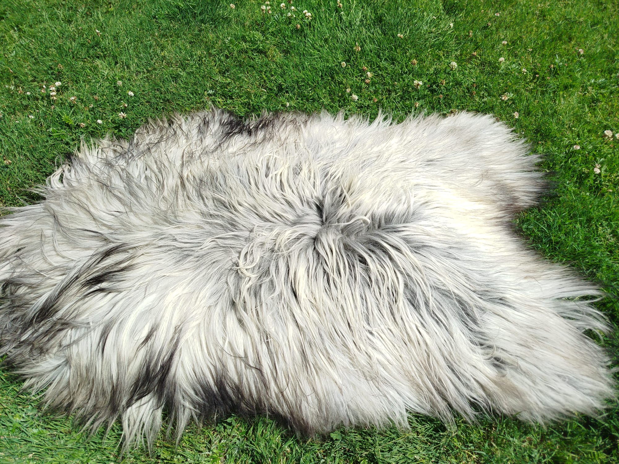 Flauschiges Schaffell Heidschnucke – Teppiche/Dekoration