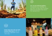 Entdecke die Kraft der Aloe Vera!